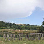 Il panorama