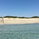 Vendicari (luglio 2018)