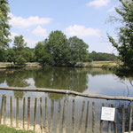 Il lago