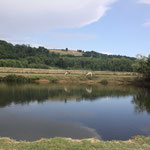 Il lago