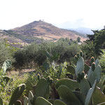Modaccamo, Agrigento (2013)