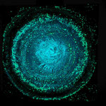 Cosmic blue ,30cmx30cm , Mischtechnik /im Dunkeln , 2024