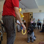 Schulhund Vega in der Else-Heydlauf-Stiftung fotografiert von Markus Neustedt