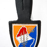 Compagnie - Armée Luxembourg (1992-02/2020)