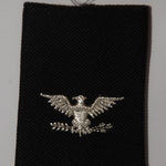 US Army Colonel