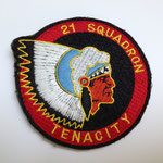 15th Air Transport Wing, 21 Squadron Tenacity Belgique/Belgium Composante Air