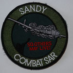 US Air Force 81st Fighter Squadron A-10 Combat Search and Rescue