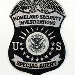 Department of Homeland Security (DHS) - Homeland Security Investigations (HSI) Special Agent badge patch subdued