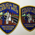 Policia de Puerto Rico Proteccion Integridad mod.1-2