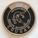 Police Neuchâteloise Groupe d'Intervention COUGAR / Kantonspolizei Neuenburg Sondereinheit (SEK) - Gendarmerie