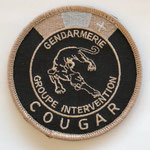 Police Cantonale Neuchâteloise/Neuchâtel - Groupe d'Intervention COUGAR / Kantonspolizei Neuenburg Sondereinheit (SEK) - Gendarmerie