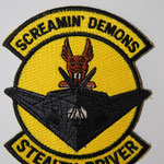 US Air Force 49th Fighter Wing