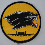 US Air Force 81st Fighter Squadron