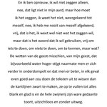 de beeldteruggever