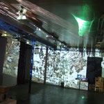 wunderkammer