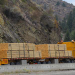 Ein Holztransporter, wie wir sie unzählige Male unterwegs antreffen