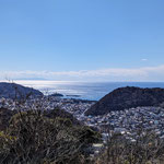 ２月２４日　飯田博茂撮影　今日は田浦から三浦アルプスを縦走して、仙元山まで歩きました。田浦梅林は五分咲位で、見頃は来週のようです。富士山は雲に隠れて観ることが出来ませんでした。