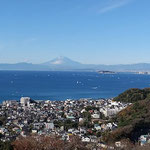 １２月２０日　飯田博茂撮影　仙元山ハイキングコース