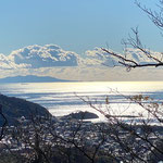 １２月１７日　鈴木浩一撮影　「良い天気です。」　ソッカ山頂から伊豆大島を望む。　ソッカ