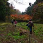 １２月１２日　小菅純撮影　谷戸の紅葉（２）　大沢谷