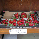 Frische Erdbeeren an einem Verkaufsstand auf Samsø. Foto: Christoph Schumann, 2025