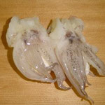 Squid Tentacles (IKA GESO)　ヤリイカ下足