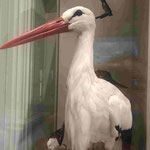 HERON