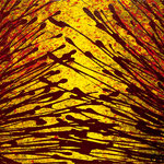 Lights of Fall, Acryl auf Leinwand, 76 x 100 cm, 2004