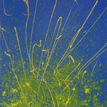 Celebration, Acryl auf Leinwand, 70 x 50 cm, 1999 