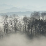 Regensberg, Schweiz 2011