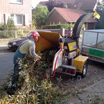 Zerlegung eines Baumes