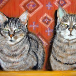 In memory of the cat