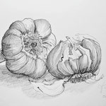 Koblauch, Bleistift