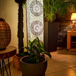 Cactus et lampe @But