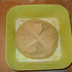 Impasto base