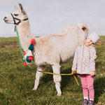 Kinder steht mit Lama auf der Fresswiese