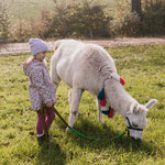 Kind und Lama im ruhigen Moment auf der Weide