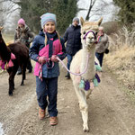Kinder führen ihre Alpakas achtsam durch die Landschaft