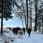 Team beim Winterevent am Pointnerhof