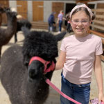 Kindergeburtstag mit Alpaka‑Wanderung am Pointnerhof