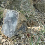 Silex