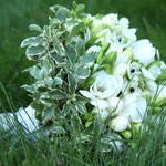 Фрезии, тюльпаны, автор: флорист Лена, 29149452