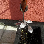 Edelstahlblumen - Edelstahlrose mit Kupferblüte (© Raven Metall Design)
