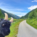 Wallismatti hat die Tour auch gefallen