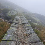 Der Weg ins Ungewisse
