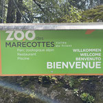 Man kann also mit dem Zug von Martigny zum Zoo fahren