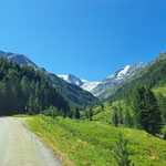 Und die ersten Gletscher