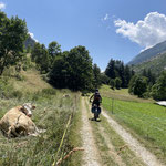 Hier wo die Strasse ist, fuhr früher der Zug