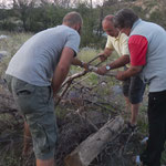 Unfortunately we couldn't make the fire that evening, but we stored the wood for the next day.