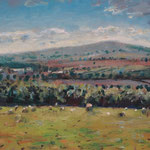 Near Clohamon.